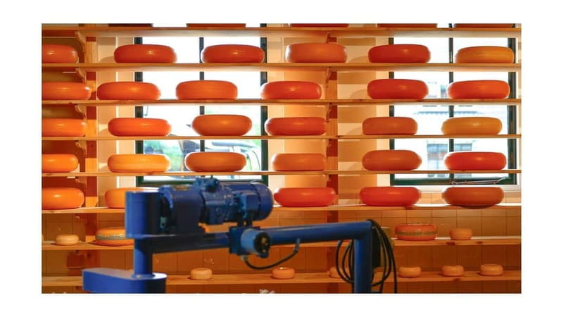 Amsterdam Day Tour: Zaanse Schans, Volendam & Marken - What to Expect Throughout the Day