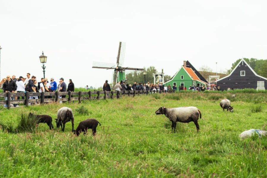 Amsterdam: Explore Zaanse Schans: Half-Day Luxury Coach Trip - The Self-Guided Tour: Navigating with Ease
