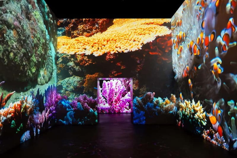 Amsterdam: Fabrique des Lumières The Sea Entry Ticket - FAQs