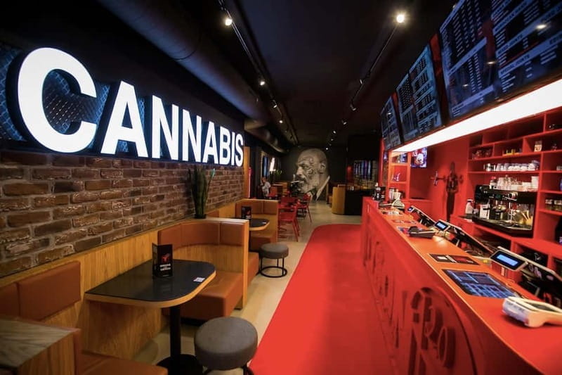 Amsterdam: Guided Ganja Walking Tour of Coffee Shops - The Value and Who It’s Best For