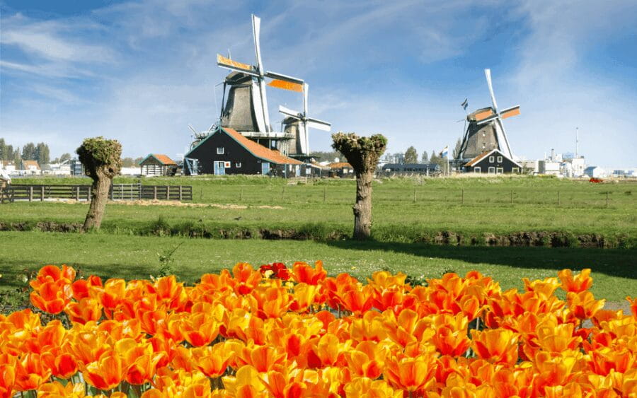 Amsterdam: Keukenhof and Zaanse Schans Windmills Day Trip - Exploring the Highlights of the Trip