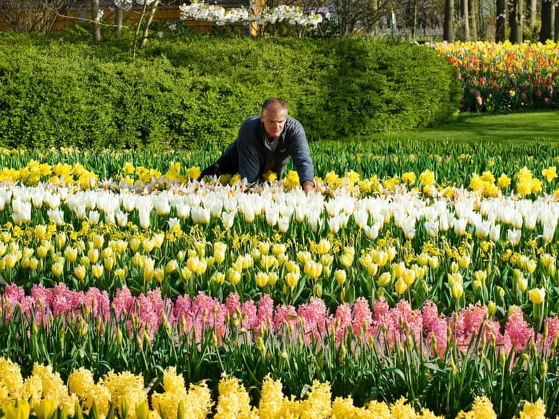Amsterdam: Keukenhof Entry & Shuttlebus with Flexible Return - Final Thoughts