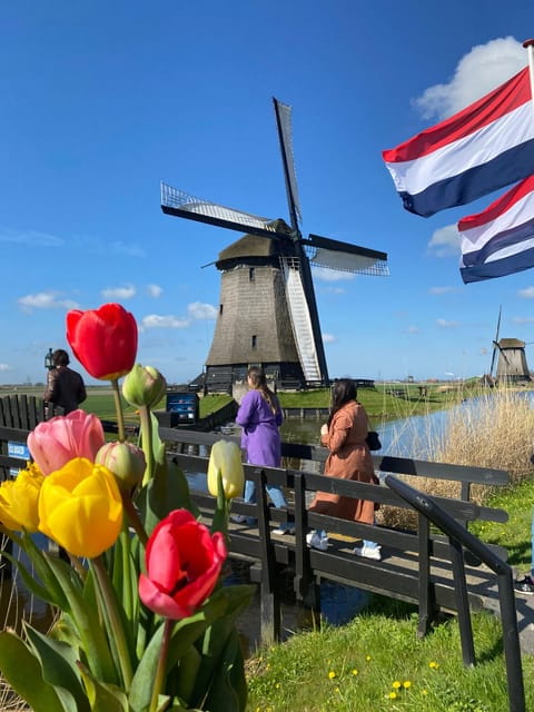 Amsterdam: Tulip Fields Day Tour with Lunch & Windmill - Starting Near Amsterdam: Easy Access and Convenient Meeting Point