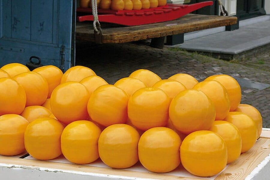 Amsterdam: Zaanse Schans, Edam, Volendam, Marken Guided Tour - What Makes This Tour Stand Out?