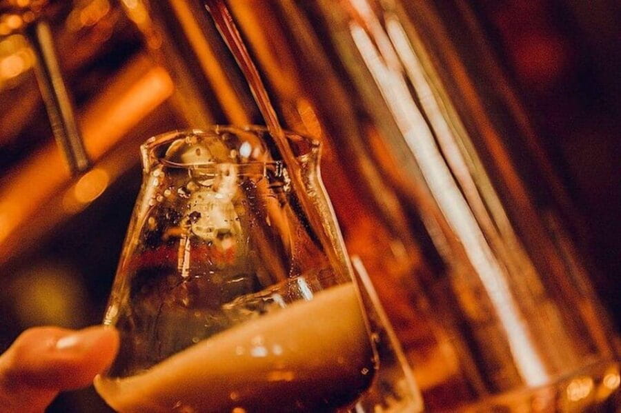 Amsterdam's Brews & Tales - Discover Delicious Craft Beers - Who This Tour Is Best For