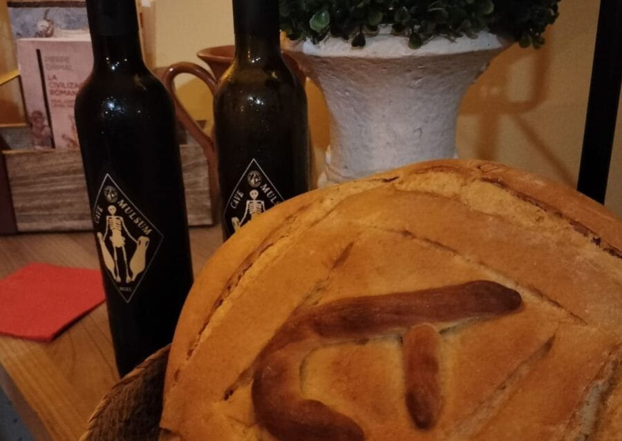 Ancient Rome gastronomic experience - wine tasting - Who Will Love This Tour?