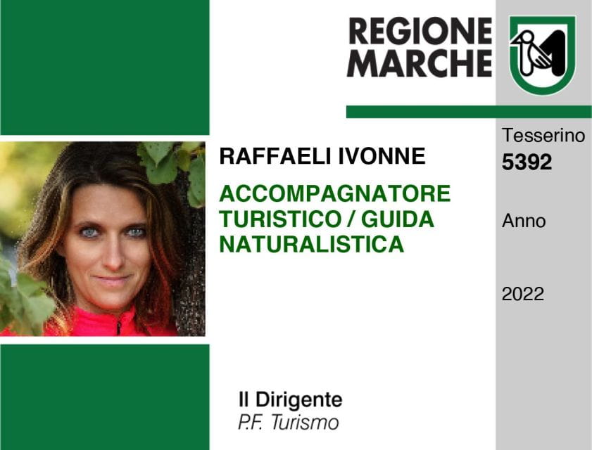 Ancona: City Walking Tour with Wine and Food Tasting - What to Expect from the Tour