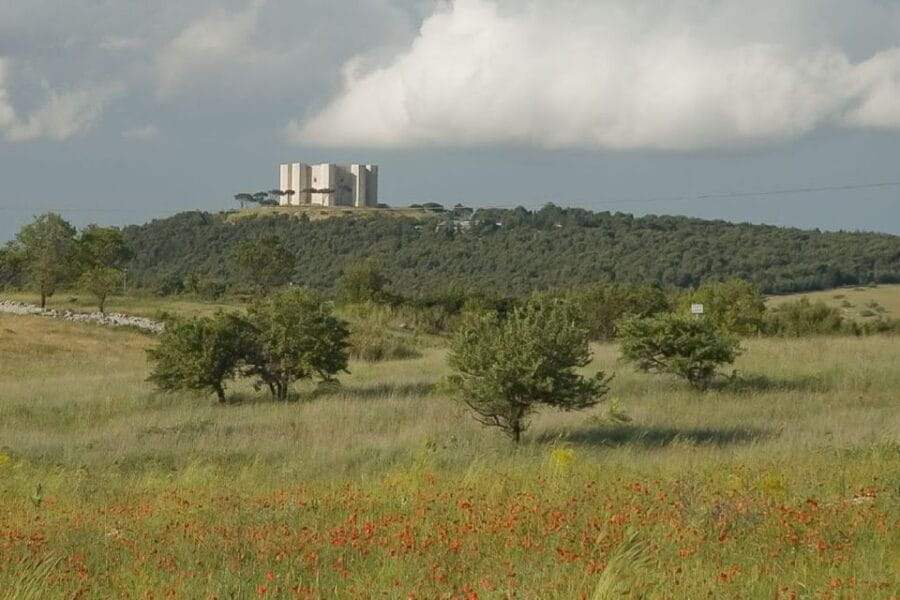 Andria: Castel Del Monte 1.5-Hour Guided Tour - The Practicalities and Logistics