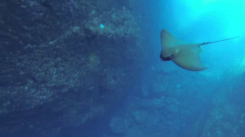 Angra do Heroísmo: Snorkeling Tour by boat - Why This Snorkeling Tour Offers Good Value