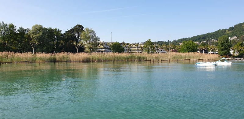Annecy: enjoy a private city tour with a native guide - Unique and Hidden Corners of Annecy