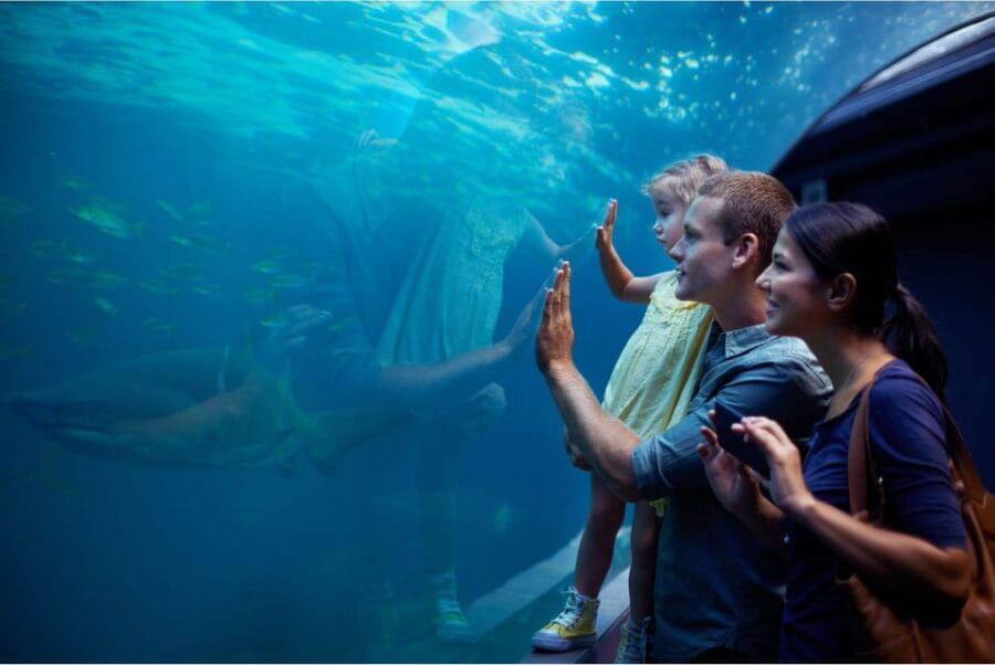 Antalya: Aquarium and Wax Museum Entry Ticket - The Wax Museum: Celebrity Encounters and Fun Photos