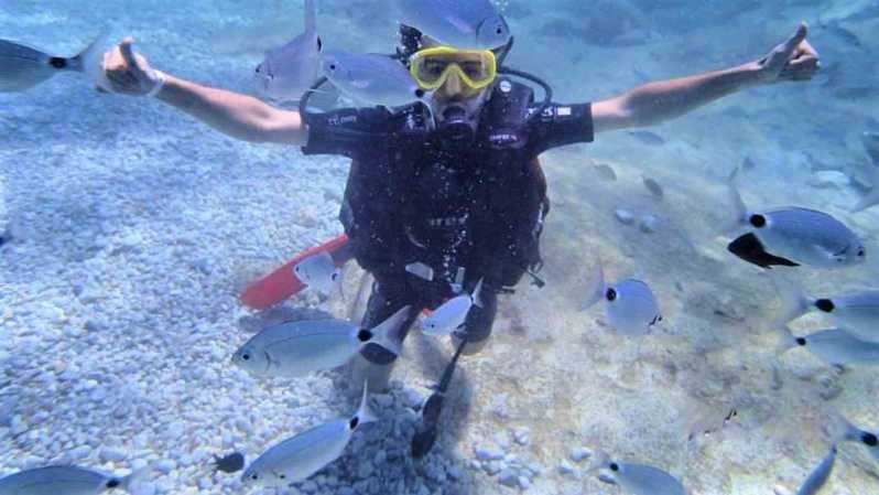 Antalya/ Belek Scuba Diving Tour With 2 Time Dive & Lunch - The Experience: What You Can Expect