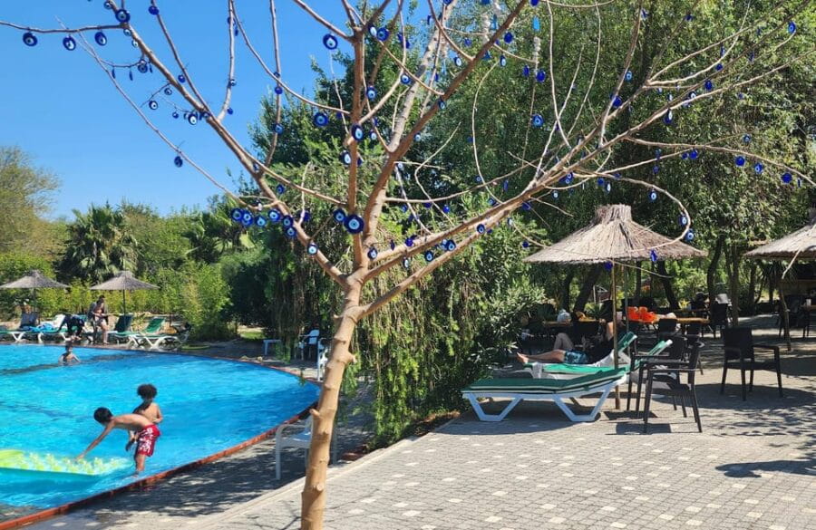 Antalya: Cruise inside theCaveLake&Side seaCruise - Logistical Considerations and Value