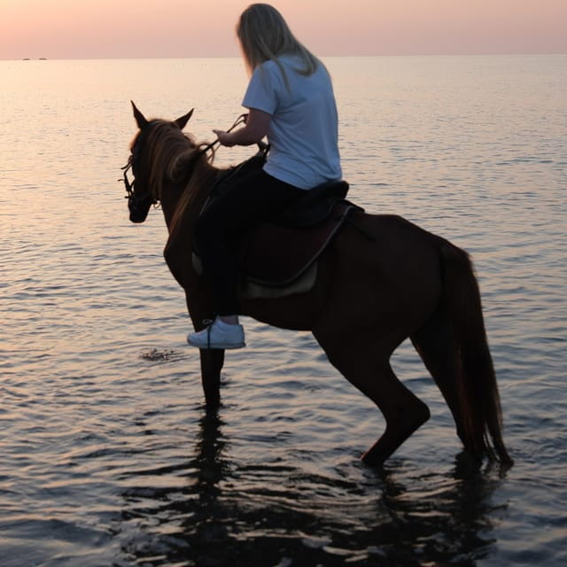 Antalya Horse Safari - What to Expect During the Ride