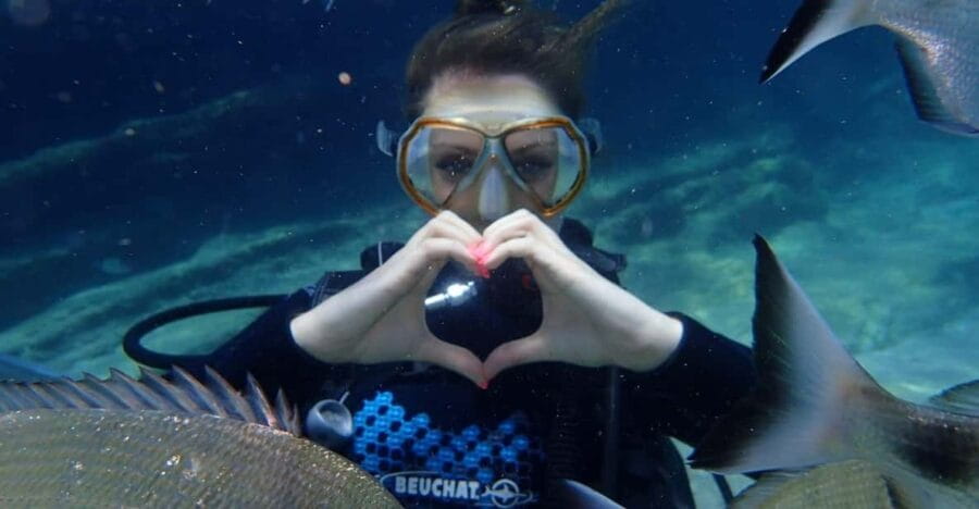 Antalya Scuba Diving Tour, With Lunch & Return Transfers - The Practical Side: Price, Value, and What You Get