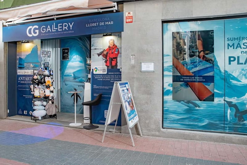 Antarctica Interactive Experience - Key Points / Takeaways