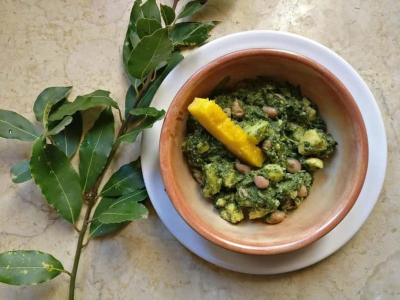 Antica Masseria Venditti: guided visit to the winery with wine tasting - An In-Depth Look at the Antica Masseria Venditti Tour