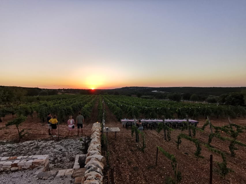 Apulia: Guided Wine Tasting with Local Appetizers - Why This Tour Is Worth Your Time