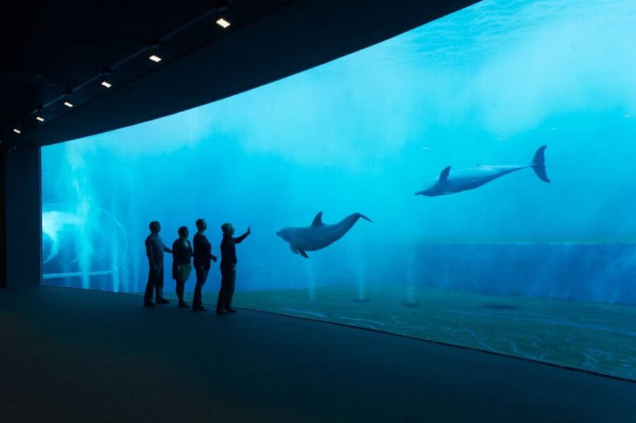 Aquarium of Genoa Ticket and Whale Watching Cruise - Price and Logistics: Worth the Investment?