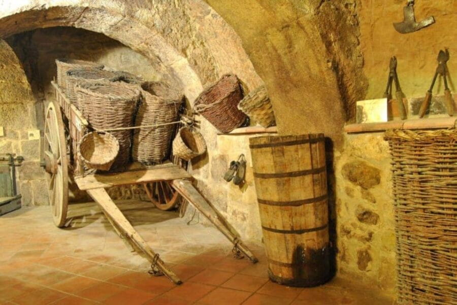Aranda de Duero: Tour of Underground Cellar and Wine Museum - The Tour Itinerary: Step-by-Step