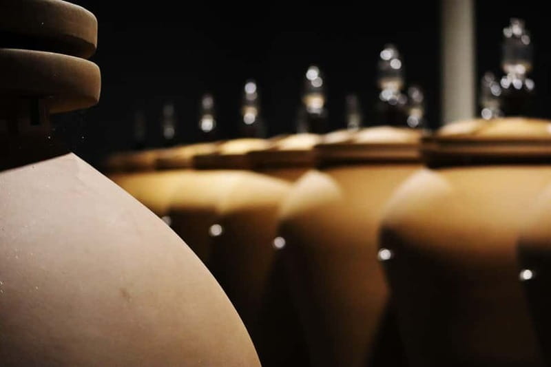 Ardèche: Cellar tour and tasting of 15 wines - Exploring the Cellar and Tasting Experience