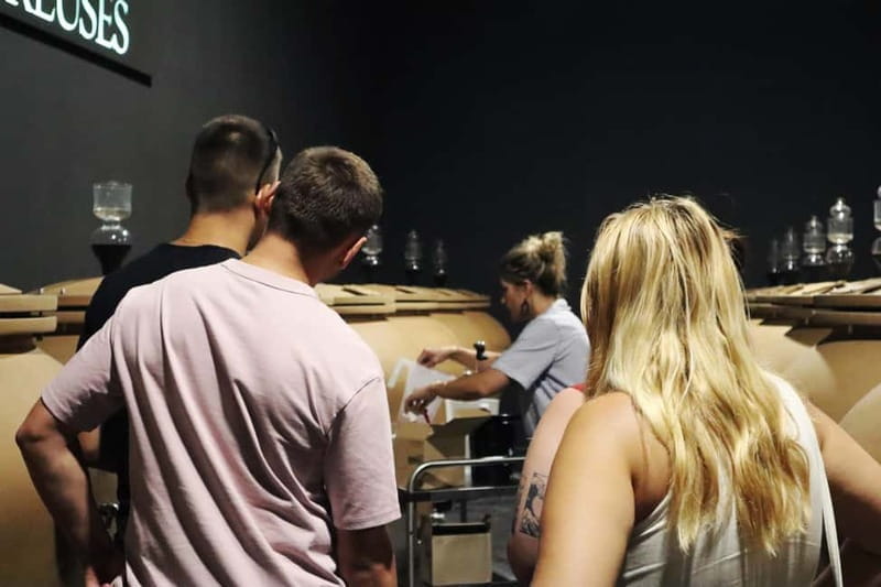 Ardèche: Tour and tasting of wines aged in amphorae and barrels - The Tour Experience: A Step-by-Step Breakdown