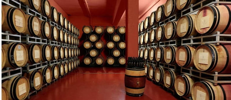 Arezzo Experience: Winery Tour and Wine Tasting - A Thorough Look at the San Fabiano Winery Tour