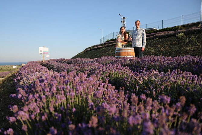 Aroma sampling of 5 Bulgarian Lavender varieties at DiVes Winery - A Few Caveats and Things to Keep in Mind