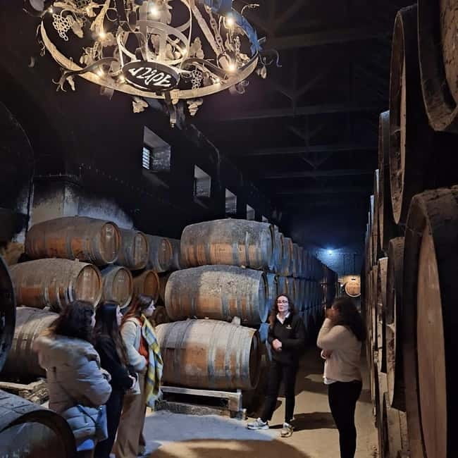 Arrábida - Sesimbra: Jeep Tour and Wine Tasting at Azeitão - Discovering Arrábida Natural Park in a Jeep