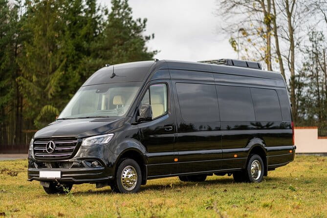 Arrival Private Transfer from MAD Airport to Madrid in a Minibus - What to Expect from the Service