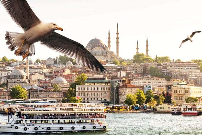 Asian Side of Istanbul Tour - Half-Day Small Group Tour - Price and Logistics: Balancing Cost and Convenience