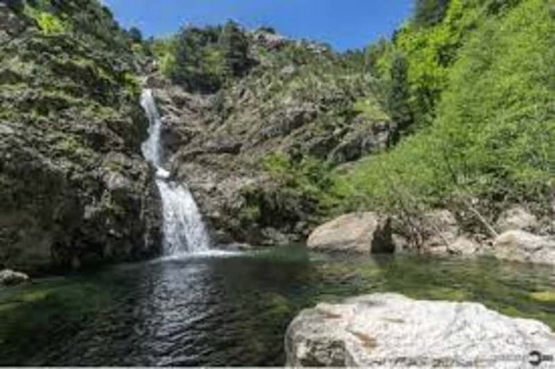 Aspromonte National Park: Private Trek to the Maesano Falls - The Path to Maesano Falls: Nature in Motion