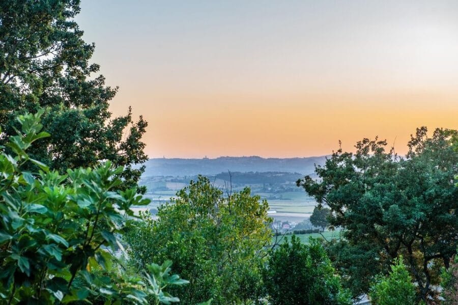 Assisi by driver and guide. Panoramic and Historical tour - Who Should Consider This Tour?