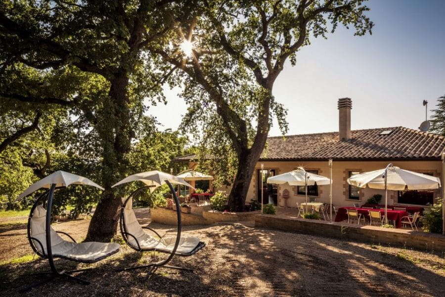 Assisi: Organic Wine and Cheese Tasting - Who Is This Tour Best For?