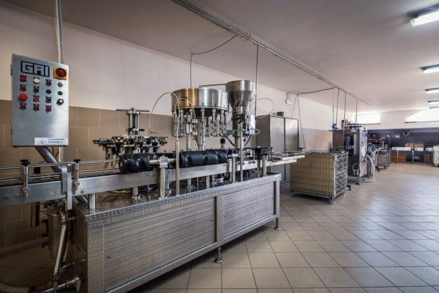 Assisi: Organic Winery Tour with Tastings & Typical Food - Who Will Love This Tour?