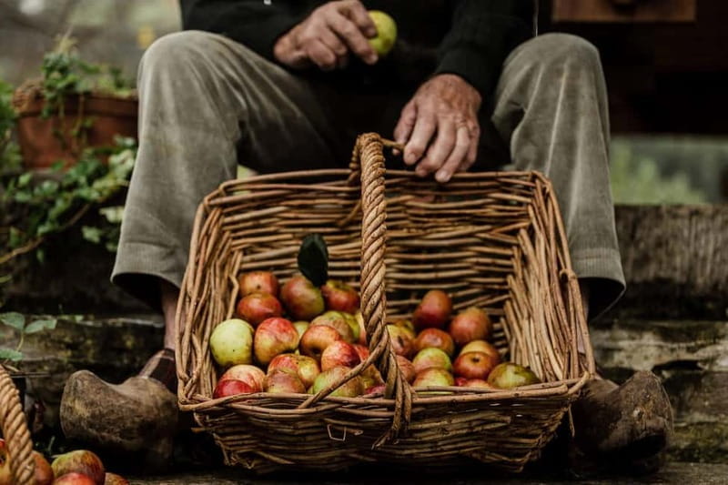 Asturias: Cider, Local lunch, Villaviciosa, Tazones, Laboral - What Makes This Tour Stand Out?