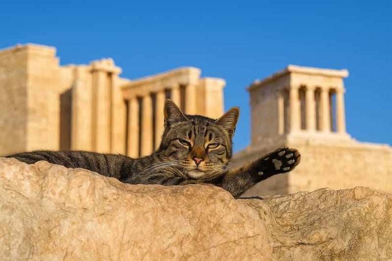 Athens: Acropolis Guided Tour with Skip-The-Line Tickets - Why This Tour Stands Out