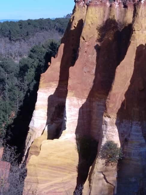 au départ Avignon: half-day lavender tour - The Details That Matter