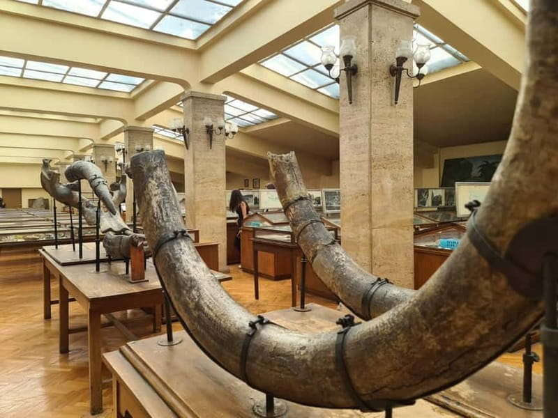 Audio Guide for Museum Paleontology and Historical Geology - Inside the Museum: What to Expect and Why It Matters