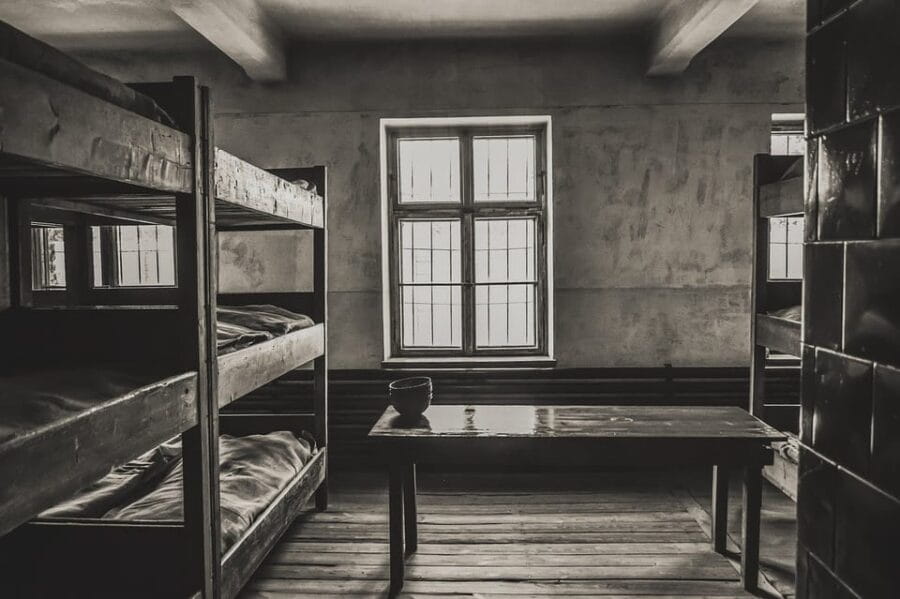 Auschwitz-Birkenau & Salt Mine Tour in One Day from Krakow - Transportation and Timing: Why It Matters