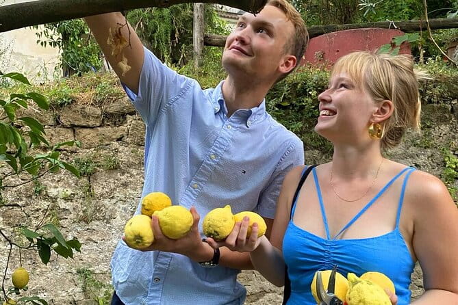 Authentic Lemon Experience at a Farm in Sorrento with Tastings - Picking Lemons and Making Lemonade: A Satisfying Hands-On Experience