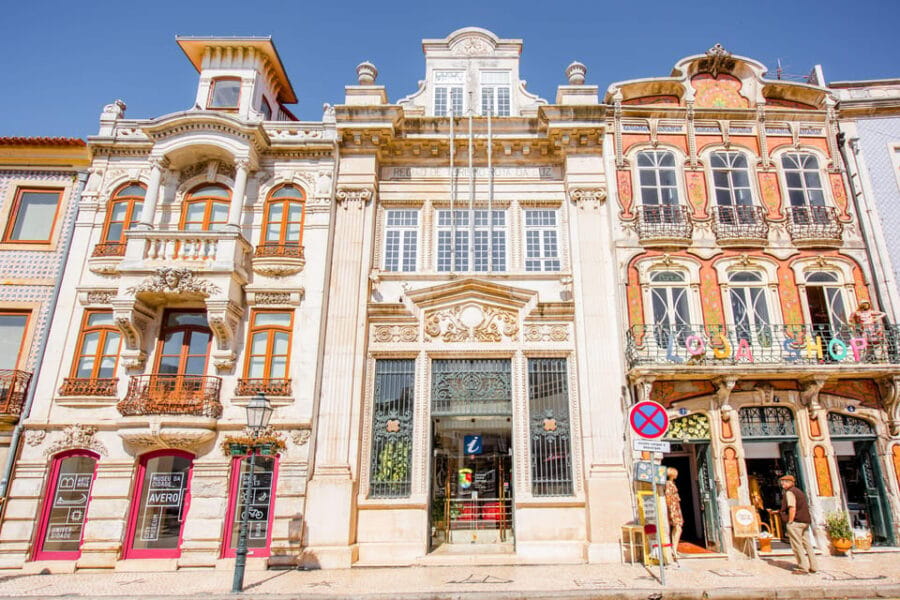 Aveiro and Costa Nova Half Day Tour with Cruise from Porto - Who Will Love This Tour?