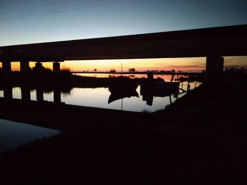 Aveiro: Boat Cruise and City Walking Tour with Sweet Tasting - Who Should Book This Tour?