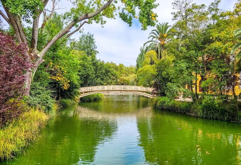 Aveiro & Costa Nova Day Trip  Full Access Included - Why This Tour Works Well