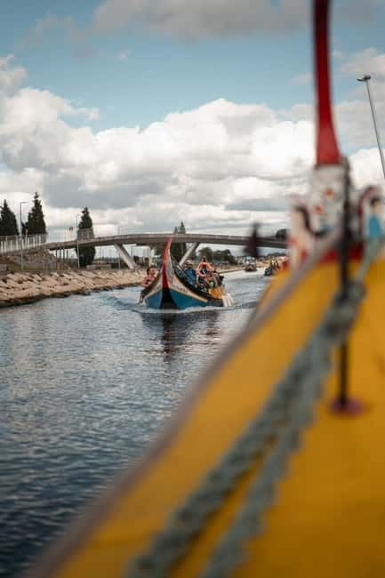 Aveiro: Moliceiro Boat Tour - Discovering Aveiro from the Water