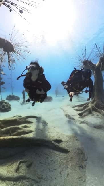 Ayia Napa: Musan Underwater Museum Scuba Dive with Transfer - The Artworks and Their Significance
