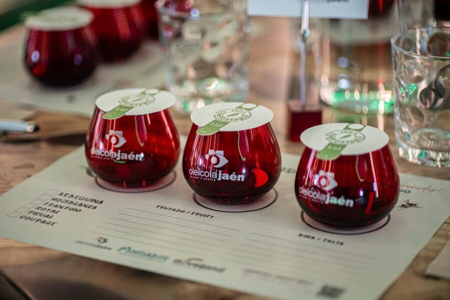 Baeza: Olive Oil Mill & Tasting at AOVEland - Entering the World of Olive Oil: What to Expect