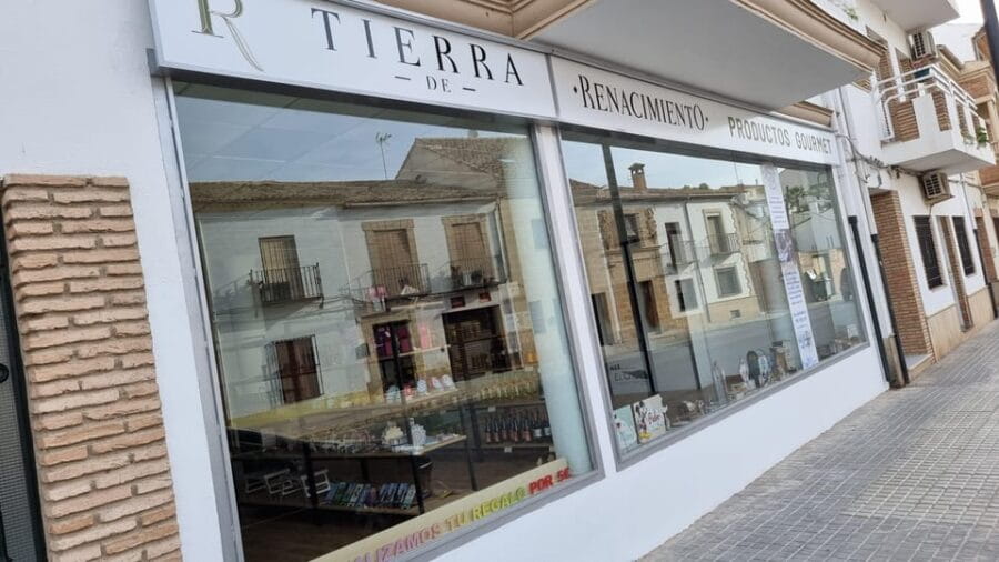 Baeza: Visit to an Ecological Olive Grove + Olive Oil Tasting - A Deep Dive into the Baeza Olive Grove Tour