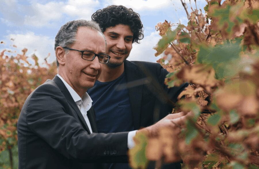 Balsamic Vinegar Tasting & Barrel Tour near Parma & Reggio - The Experience: From Vine to Vinegar – What You’ll See and Do