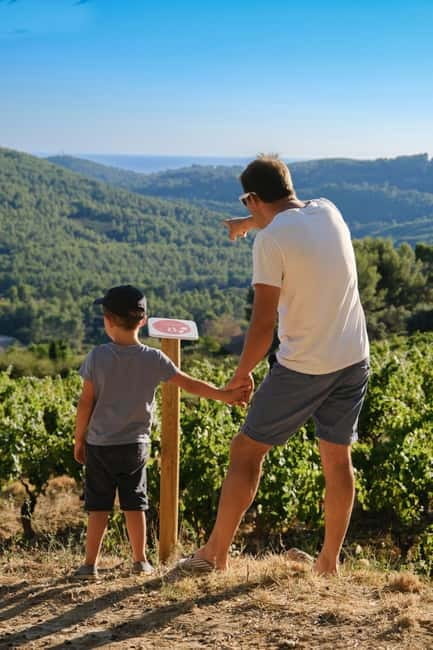 Bandol: family vineyard tour and tasting - Final Thoughts